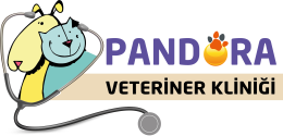 Pandora Veteriner Kliniği