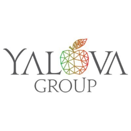 Yalova Group