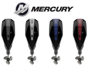 Mercury Deniz Motorları Bayii ve Servisi